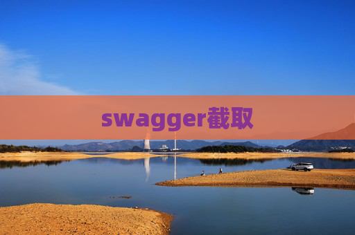 swagger截取
