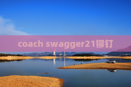 coach swagger21铆钉